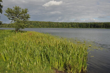 Jezioro Wadąg. Polska - Mazury - Warmia.