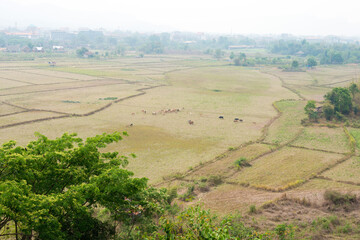 Fototapeta na wymiar Nature image of Vang Vieng. a famous Landscape in Vang Vieng, Vientiane Province, Laos.