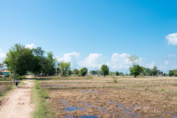 Fototapeta na wymiar The country landscape at Don Det in 4000 islands, Champasak Province, Laos.