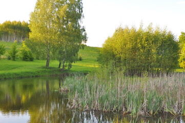 Zagajnik.