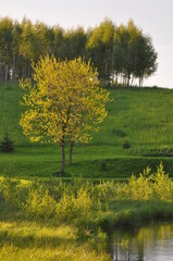 Krajobraz wiosenny. Jonkowo. Polska - Mazury - Warmia.