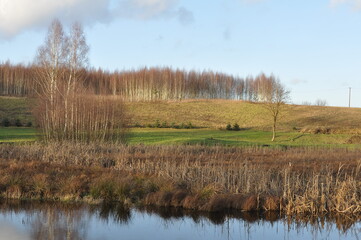 Pole. Wiosna. Polska - Mazury - Warmia.