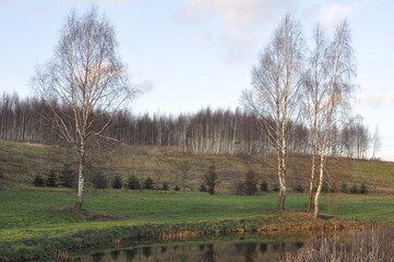 Polska - Mazury - Warmia. Krajobraz. © Rafa