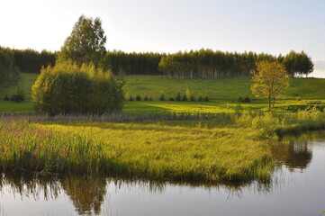 Las i jezioro. Krajobraz. Polska - Mazury - Warmia.