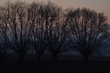 Polska - Mazury - Warmia. Krajobraz.