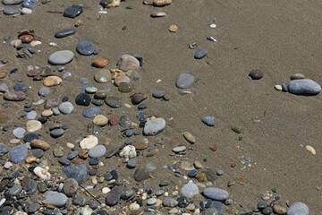 Fototapeta na wymiar Beach ground life macro background covid-19 june season creta island greece high quality prints