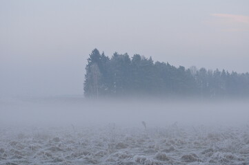 Mgła. Polska - Mazury - Warmia.
