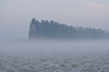 Mgła zimą. Polska - Mazury - Warmia.