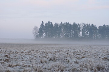 Krajobraz zimowy. Mgła. Polska - Mazury - Warmia.