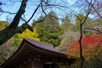 紅葉の室生寺