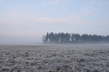 Obraz premium Polska - Mazury - Warmia. Krajobraz.