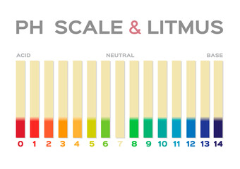 ph scale vector graphic . acid to base / litmus on white