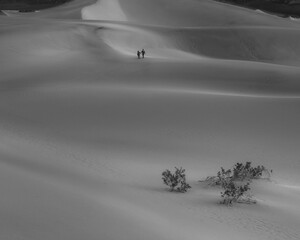 Walking along in the sand dunes