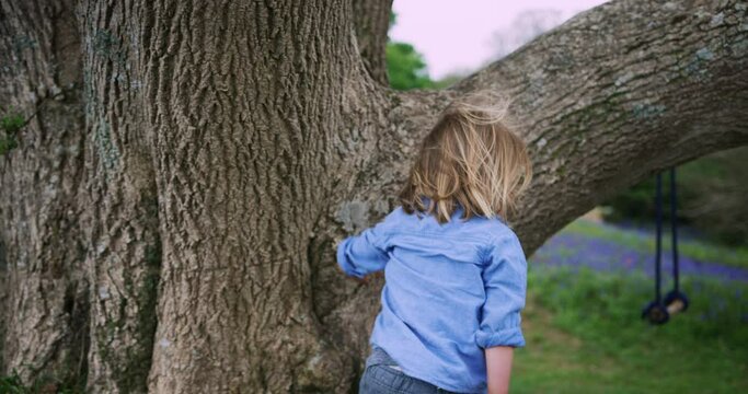 Little boy climbing a tree in meadow