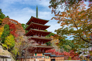 紅葉の長谷寺