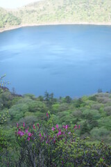 Fototapeta na wymiar Onami-lake(old crater) in Kirishima mountain range in the early morning, Miyazaki, Japan