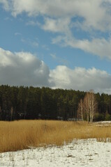 Las zimą. Krajobraz. Wymój. Polska - Mazury - Warmia. © Rafa