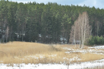 Las zimą. Krajobraz. Wymój. Polska - Mazury - Warmia. © Rafa