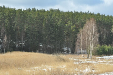 Las zimą. Krajobraz. Wymój. Polska - Mazury - Warmia. © Rafa