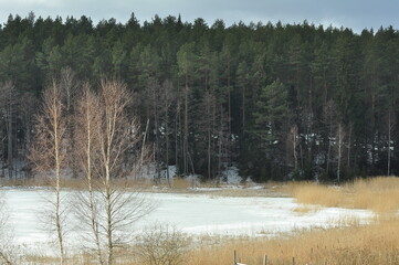 Las i jezioro. Krajobraz. Bukwałd. Polska - Mazury - Warmia. © Rafa
