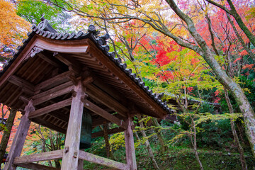 牛滝山　大威徳寺の紅葉