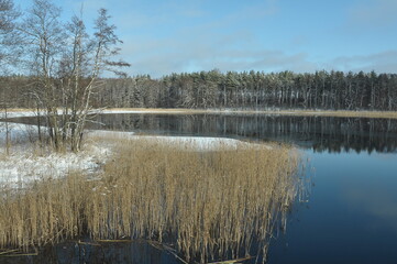 Zima. Jezioro i las.