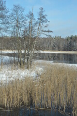 Krajobraz zimowy. Polska - Mazury - Warmia.