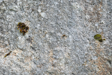 Textured gray rock as a nature background
