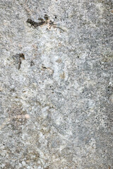 Textured gray rock as a nature background
