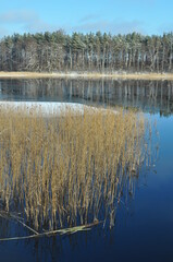 Las i woda. Zima. Polska - Mazury - Warmia. © Rafa