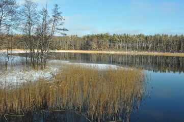 Las i woda. Zima. Polska - Mazury - Warmia.