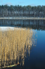 Polska - Mazury. Krajobraz zimowy. © Rafa