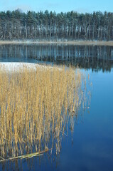 Polska - Mazury - Warmia. Krajobraz.