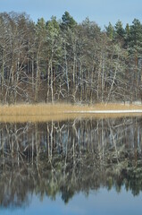 Las i jezioro. Krajobraz. Polska - Mazury - Warmia. © Rafa
