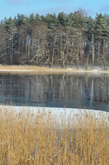 Krajobraz. Zima. Jezioro i las. Polska - Mazury - Warmia. © Rafa