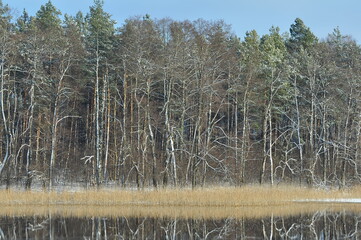 Krajobraz. Zima. Jezioro i las. Polska - Mazury - Warmia. © Rafa