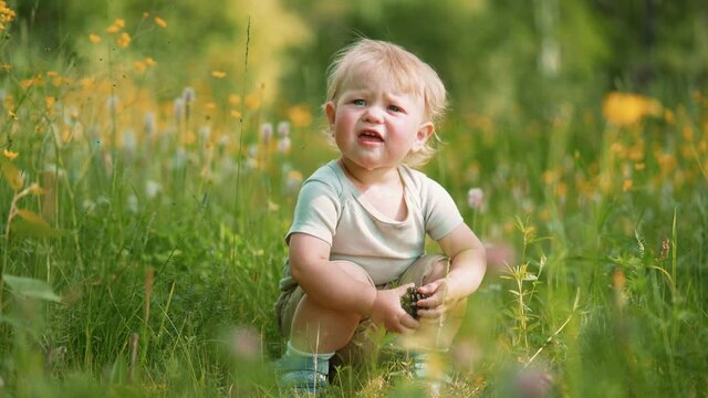 one year old child studying forest flora. The concept of education and curiosity. children's perception and education