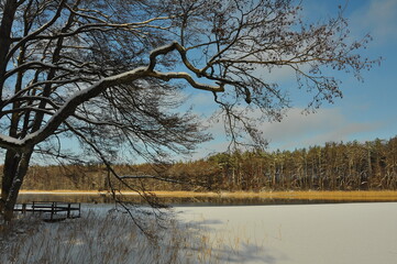 Krajobraz. Zima. Zamarźnięte jezioro. Drzewo. Polska - Mazury - Warmia. © Rafa