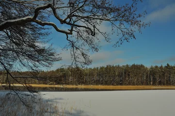 Foto auf Leinwand Zima. Zamarźnięte jezioro. Polska - Mazury - Warmia. © Rafa
