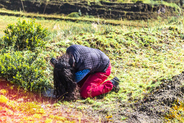 Fototapeta na wymiar woman taking pictures of vegetation with a professional camera