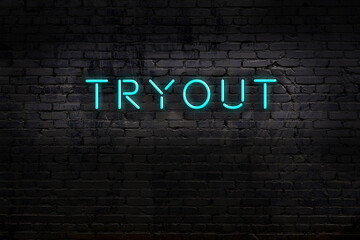 Neon sign. Word tryout against brick wall. Night view
