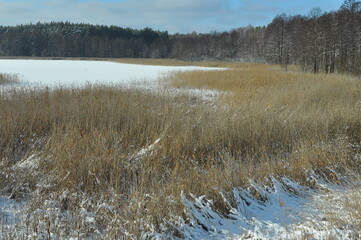 Zima. Zamarźnięte jezioro. Trzciny. Polska - Mazury - Warmia. © Rafa
