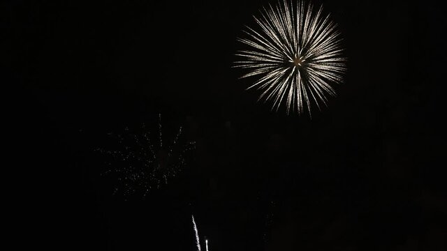 A Fireworks Display against a Black Sky