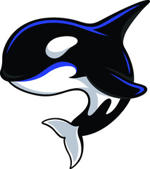 Vector Design of Killer Whale  © DKG1111