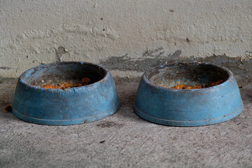 Bowl of food for old cats on the cement floor.