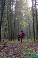 Obraz premium Halloween holiday. Evil harlequin in the autumn forest .A man in a suit of evil terrible jester with a knife. Evil clown cosplay costume.Autumn holidays. 