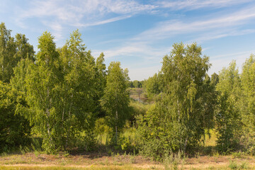 Obraz premium A picturesque lake on a Sunny summer day, the banks are covered with forest and shrubs.