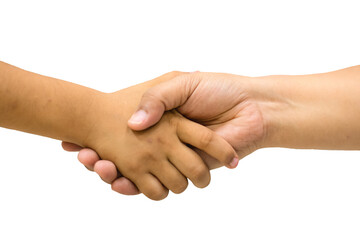 handshake isolated on white background