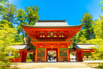 Fototapeta premium 香取神宮