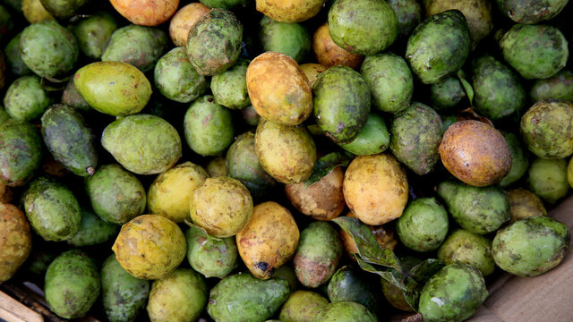 salvador, bahia / brazil - july 10, 2020: umbu fruit are seen for sale in the city of Salvador.